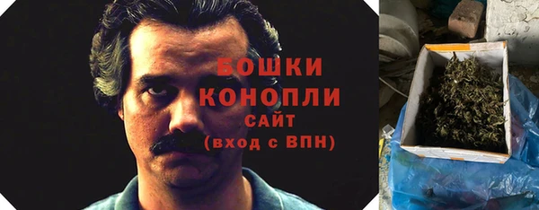 сатива Снежинск
