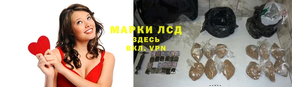 сатива Снежинск