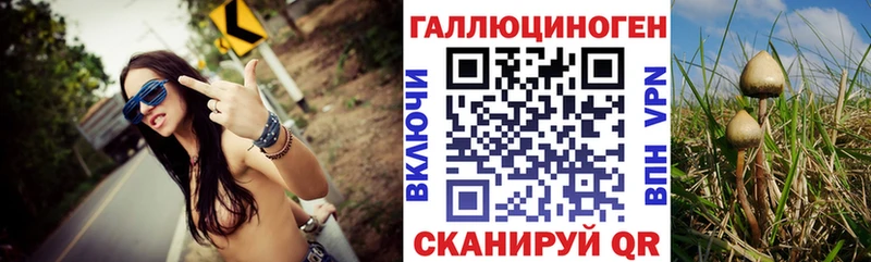 hydra ссылки  Артёмовский  Галлюциногенные грибы GOLDEN TEACHER  наркошоп 